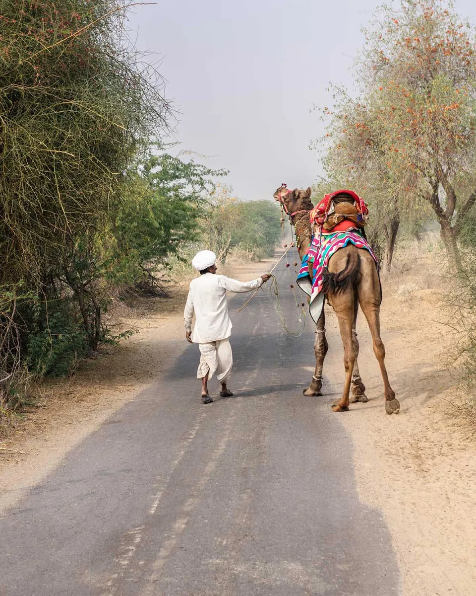 On our radar — On Our Rador Back