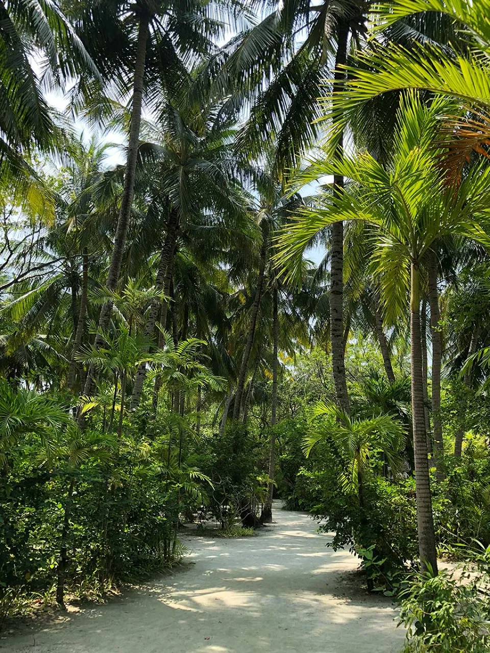 Maldives-gallery — gallery photograph 3