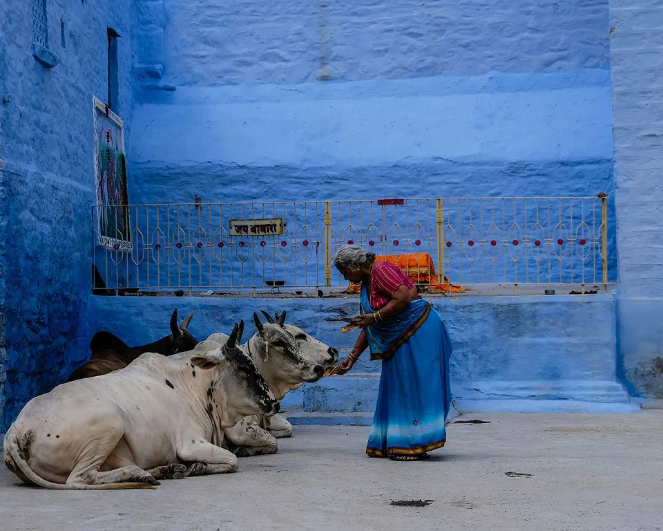 India-gallery — gallery photograph 5