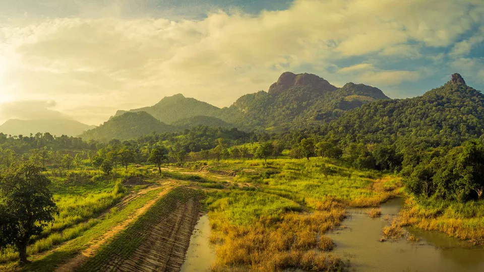Gal Oya National Park, Kumana & Arugam Bay — hero photograph