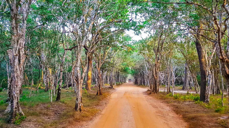North West Coast & Wilpattu National Park — hero photograph