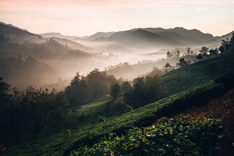 Mapbackground — India