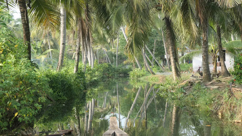 Kerala & the South — hero photograph