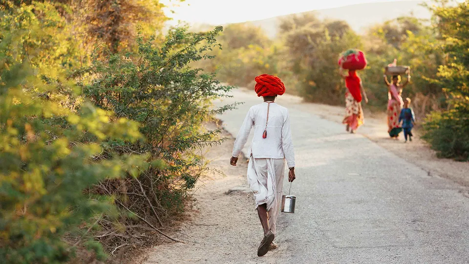 Rajasthan & the North — hero photograph