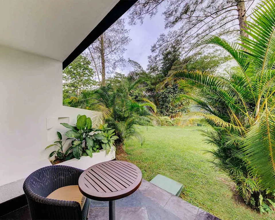 Luxury hotel gallery image — gallery photograph 5