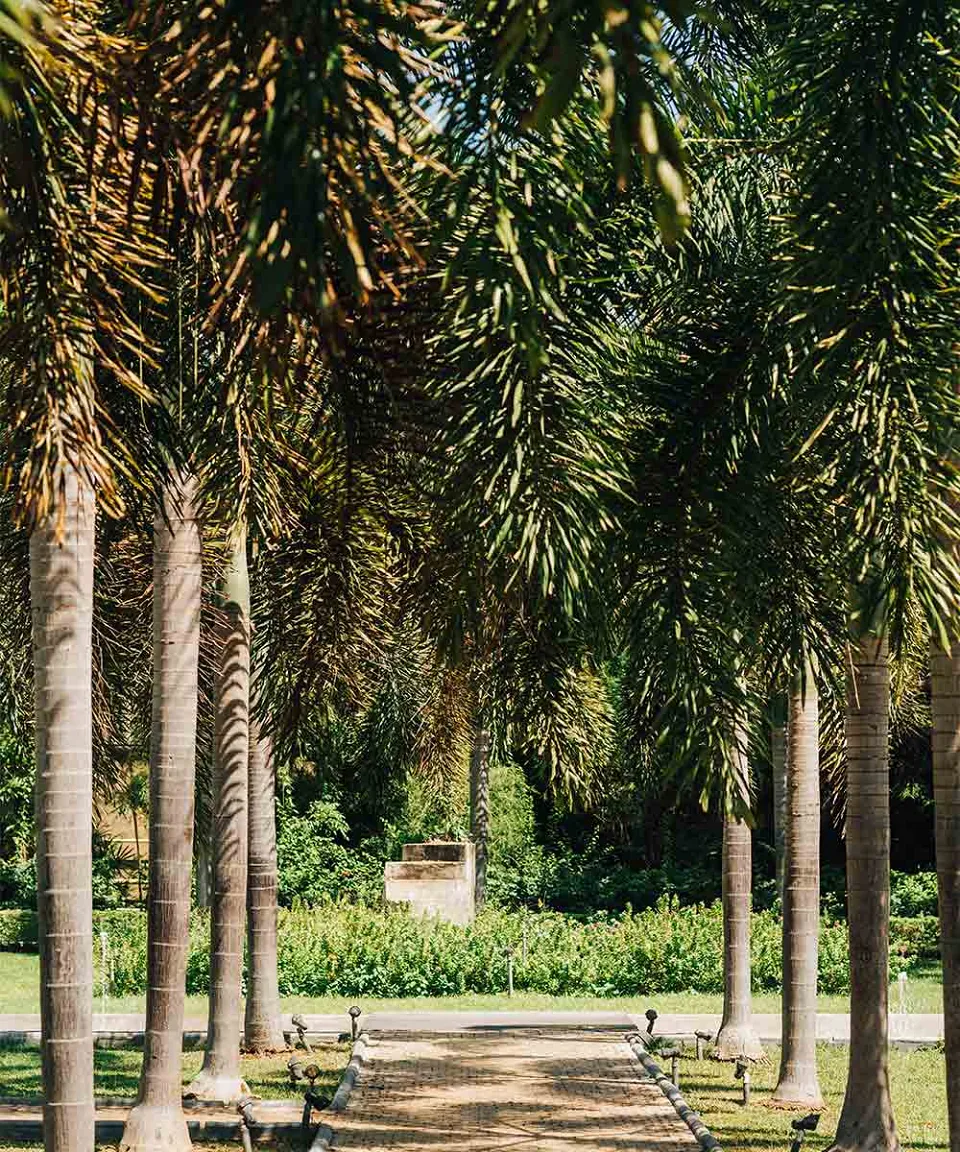 What we love — gallery photograph 2