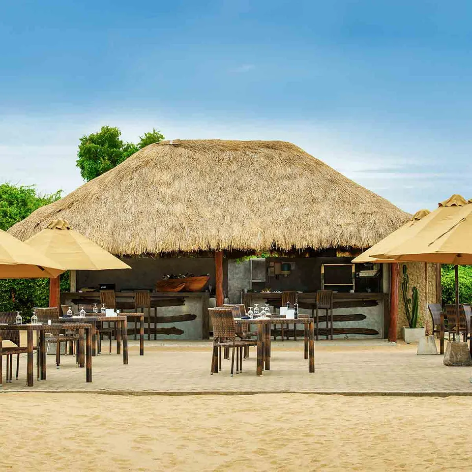 Jungle Beach an Uga Experience - Luxury hotel — gallery photograph 4