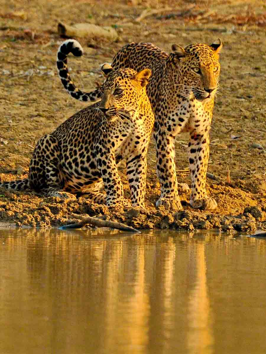 Luxury hotel gallery image