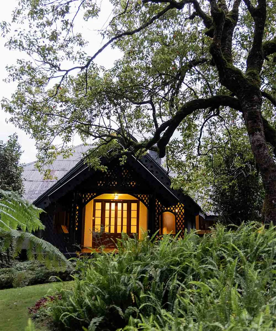 What we love — gallery photograph 3