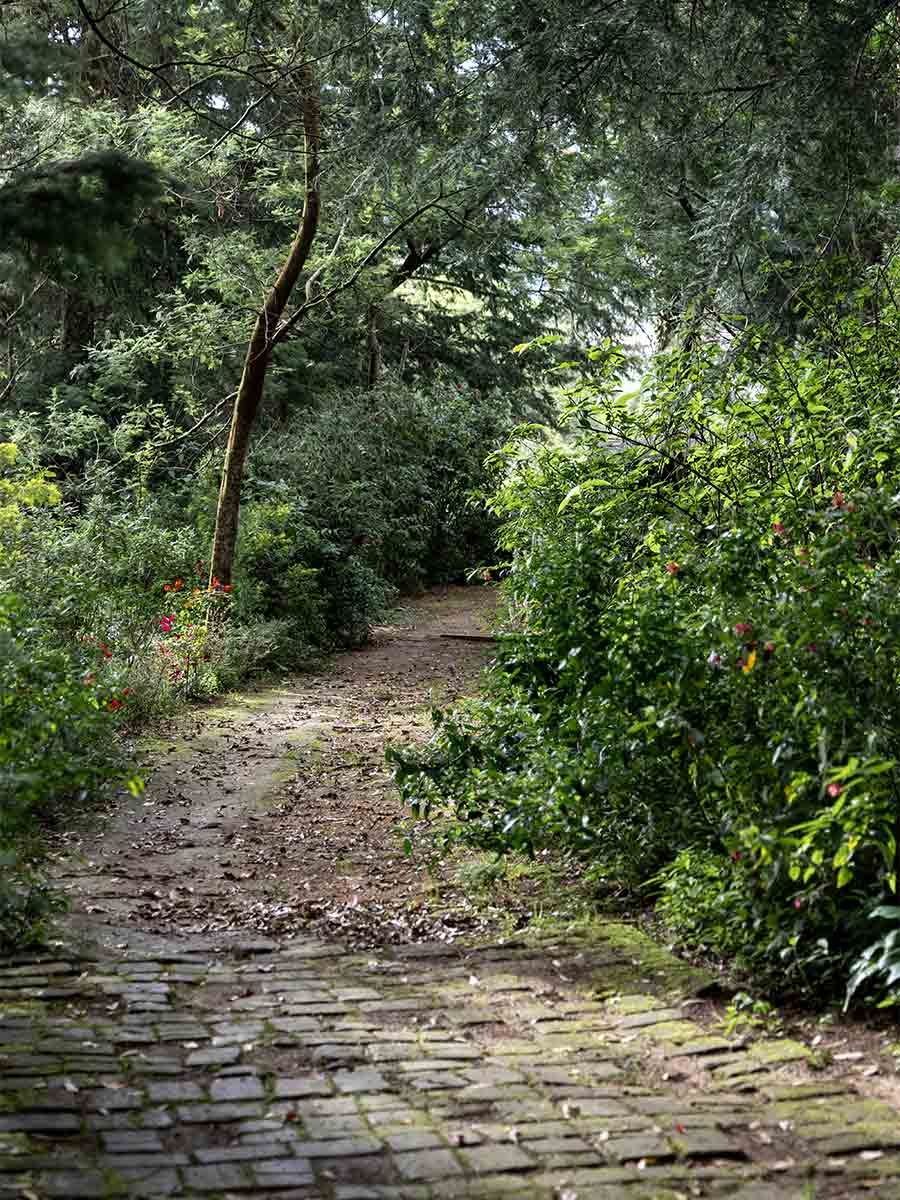 Luxury hotel gallery image