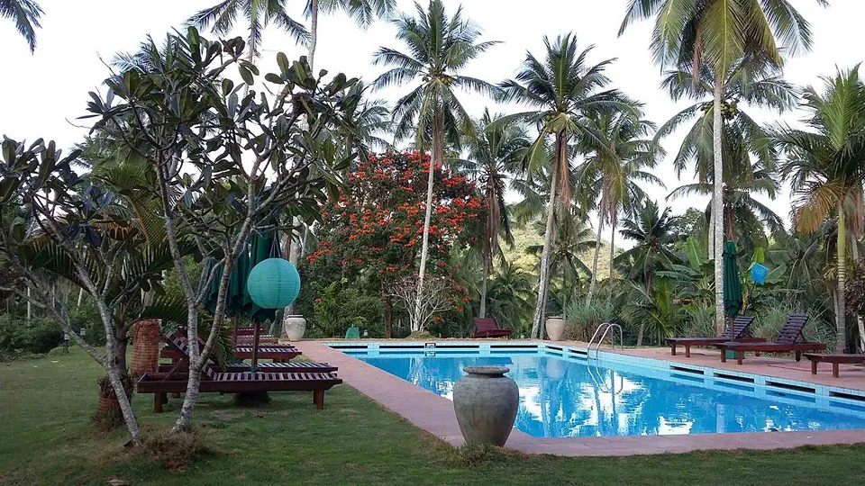 Jim's Farm — hotel photograph