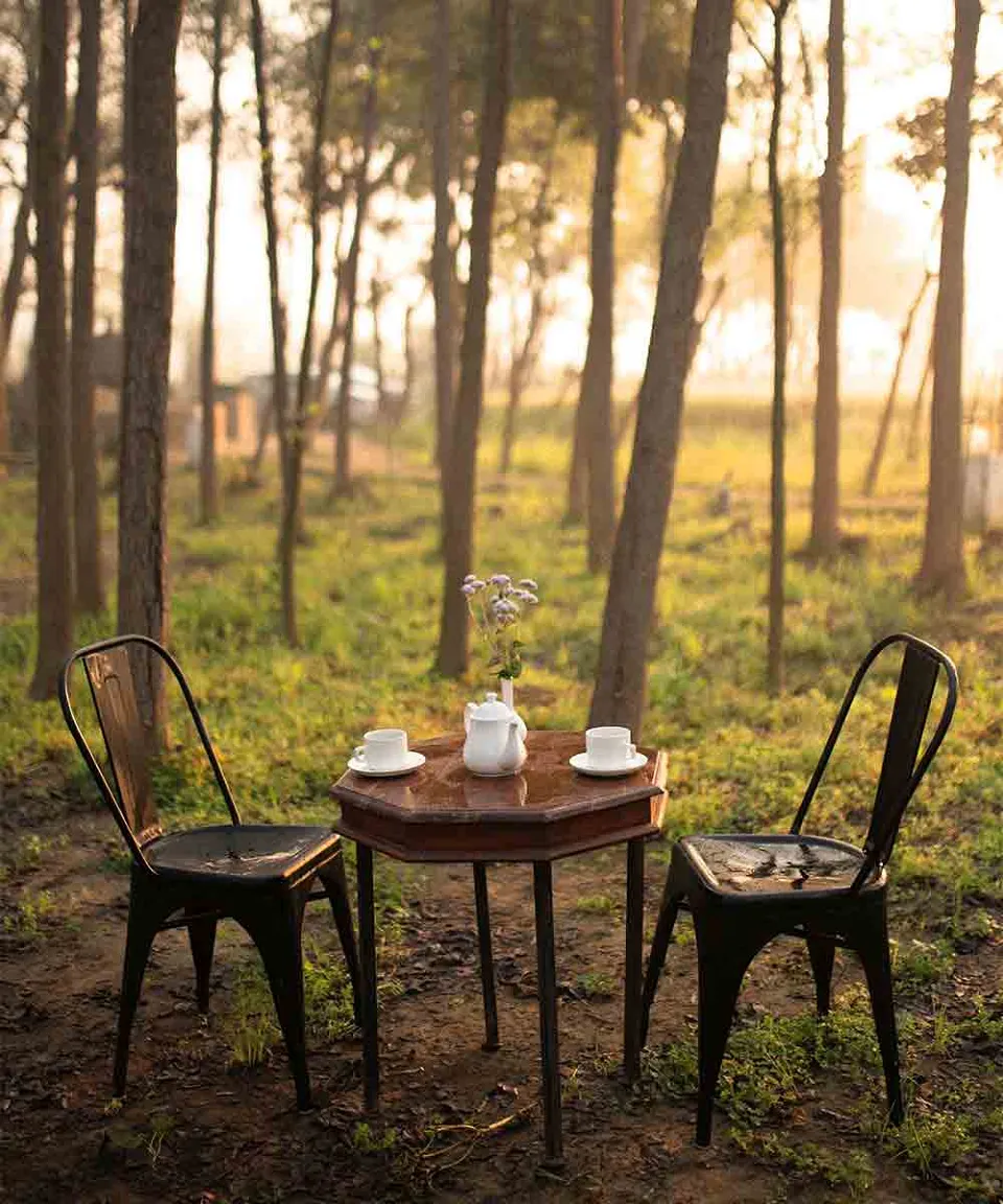 What we love — gallery photograph