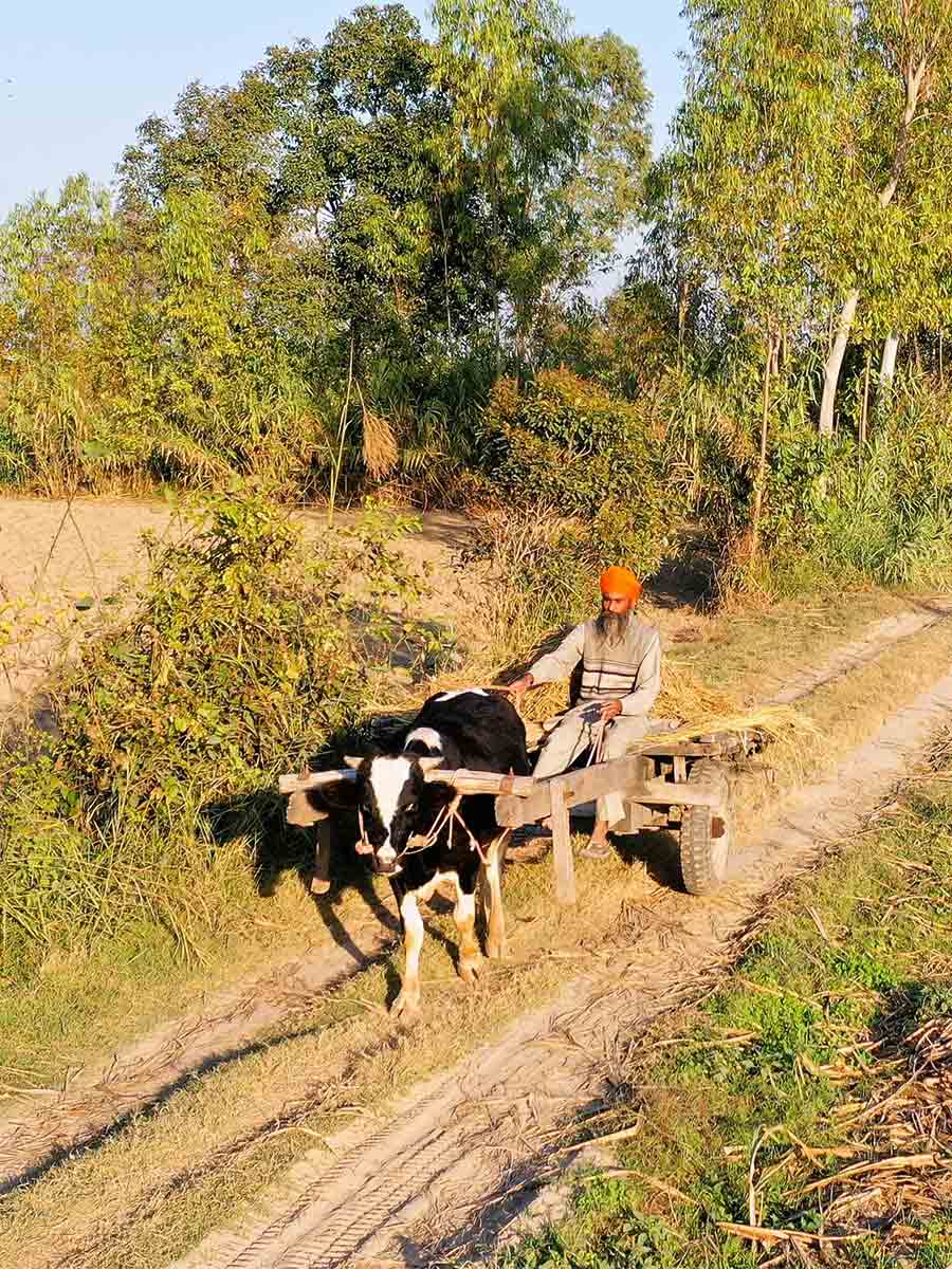 Luxury hotel gallery image