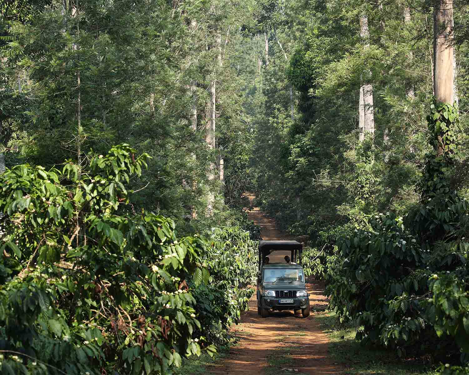 Luxury hotel gallery image