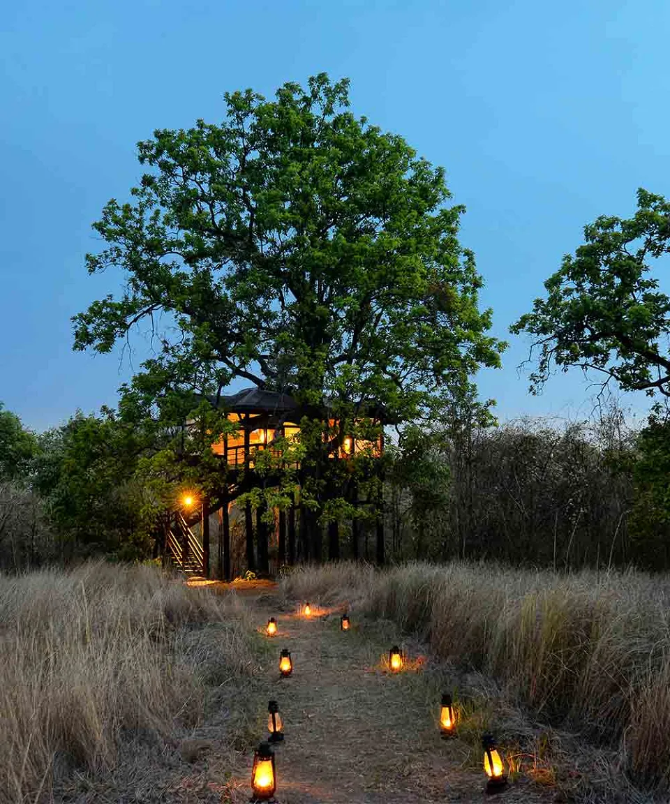 What we love — gallery photograph 2