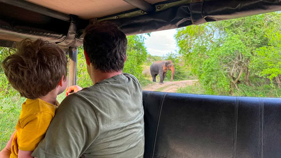 Family-Friendly Sri Lanka: Wild, Wonderful, and Full of Surprises
