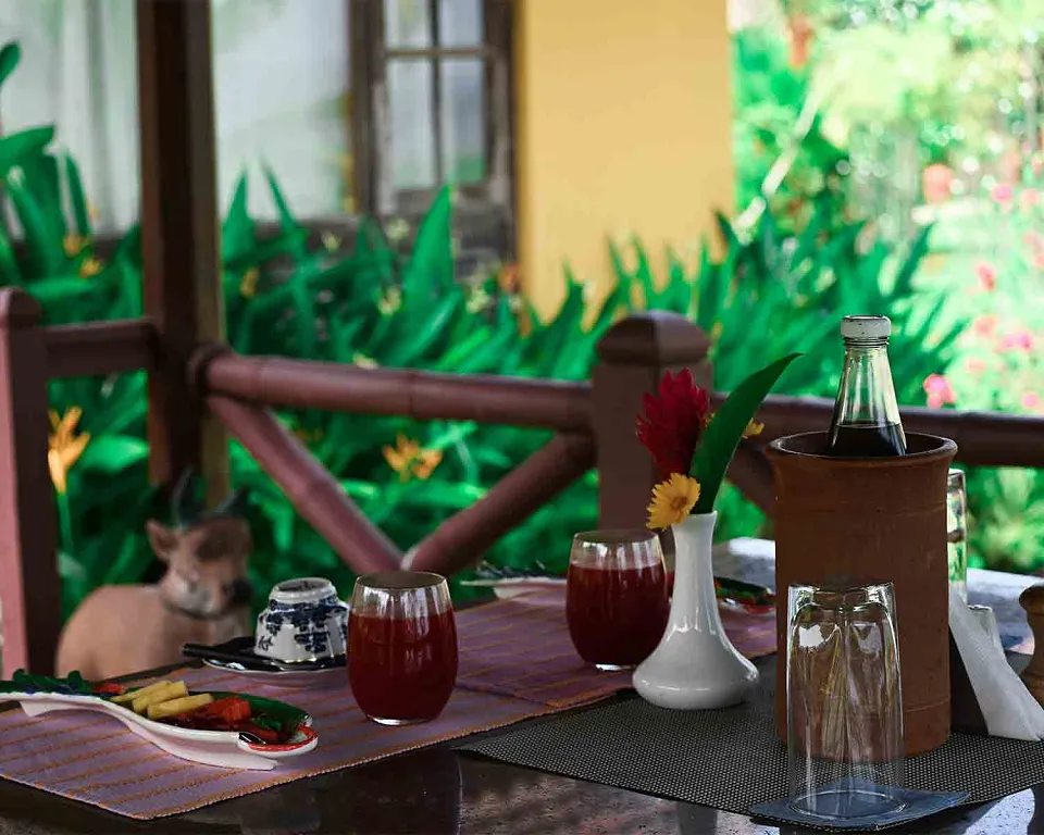 Luxury hotel gallery image — gallery photograph 4