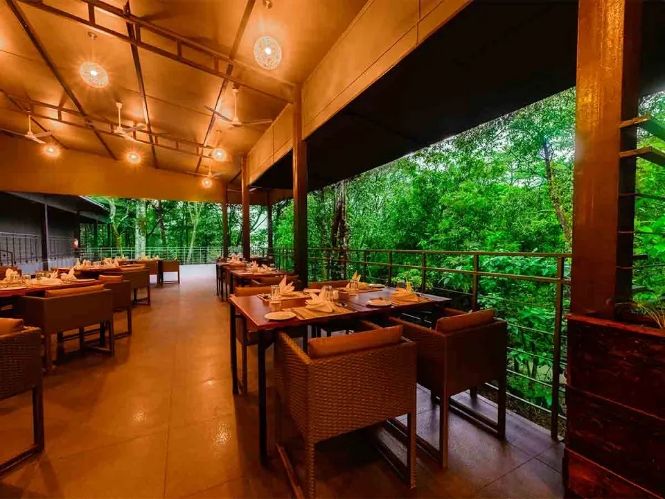 Wayanad Wild — hotel photograph