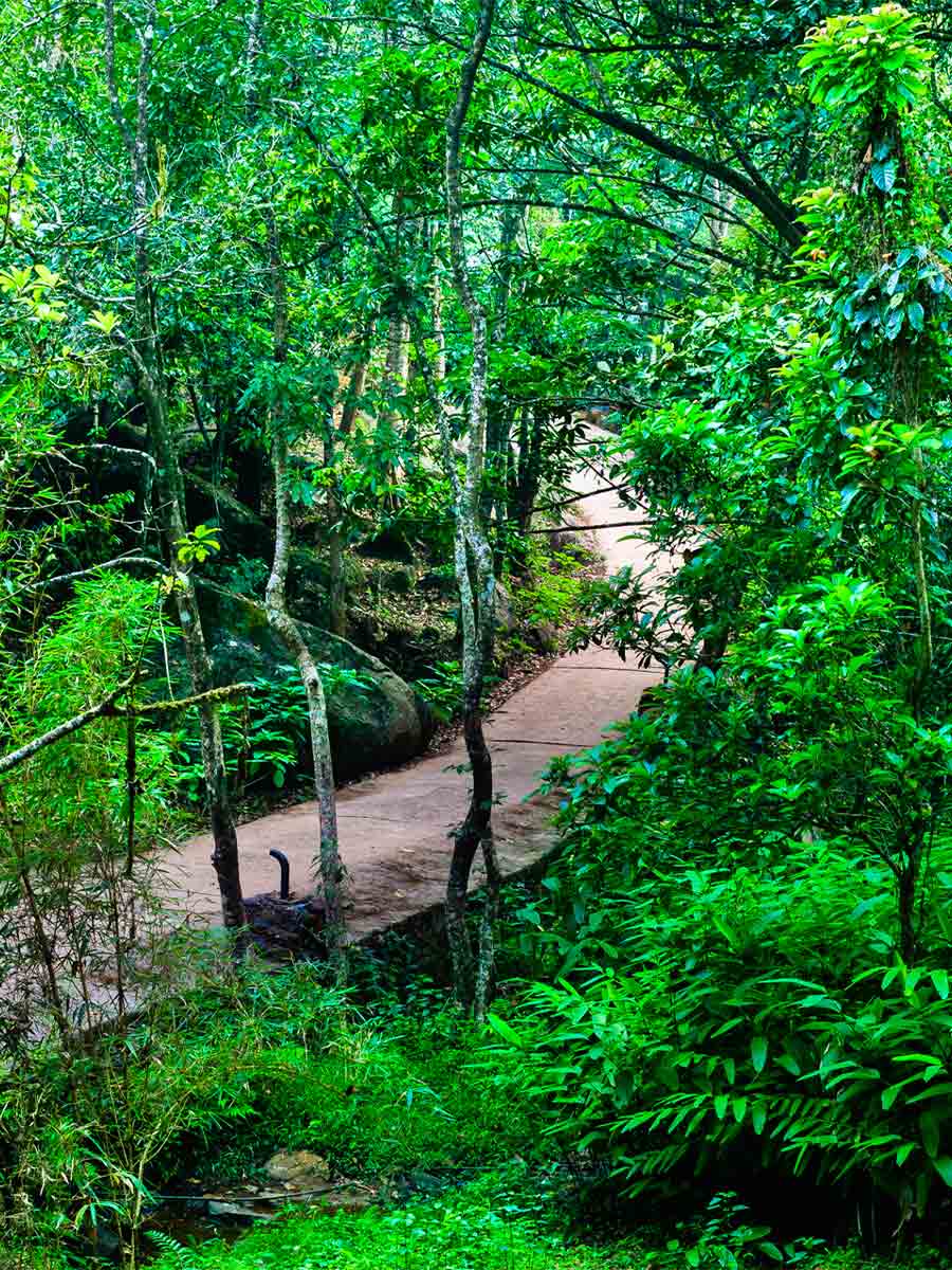 Luxury hotel gallery image