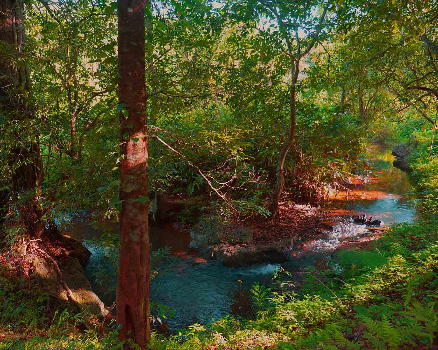 Luxury hotel gallery image