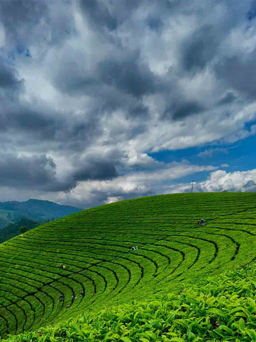 Luxury hotel gallery image