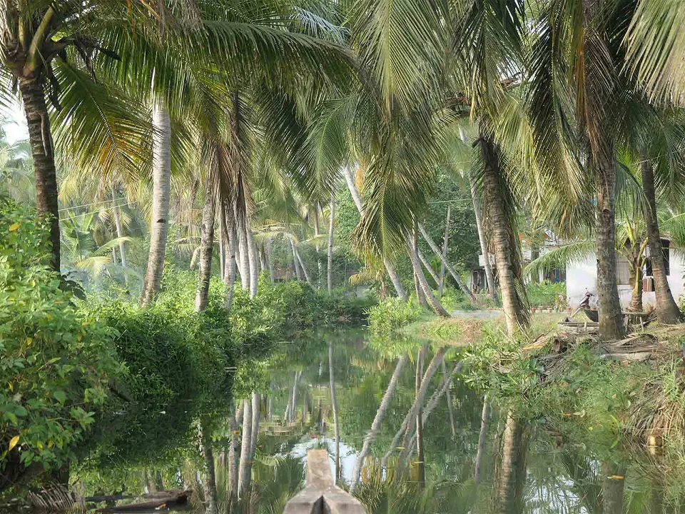 Seeing Kerala differently — Kerala