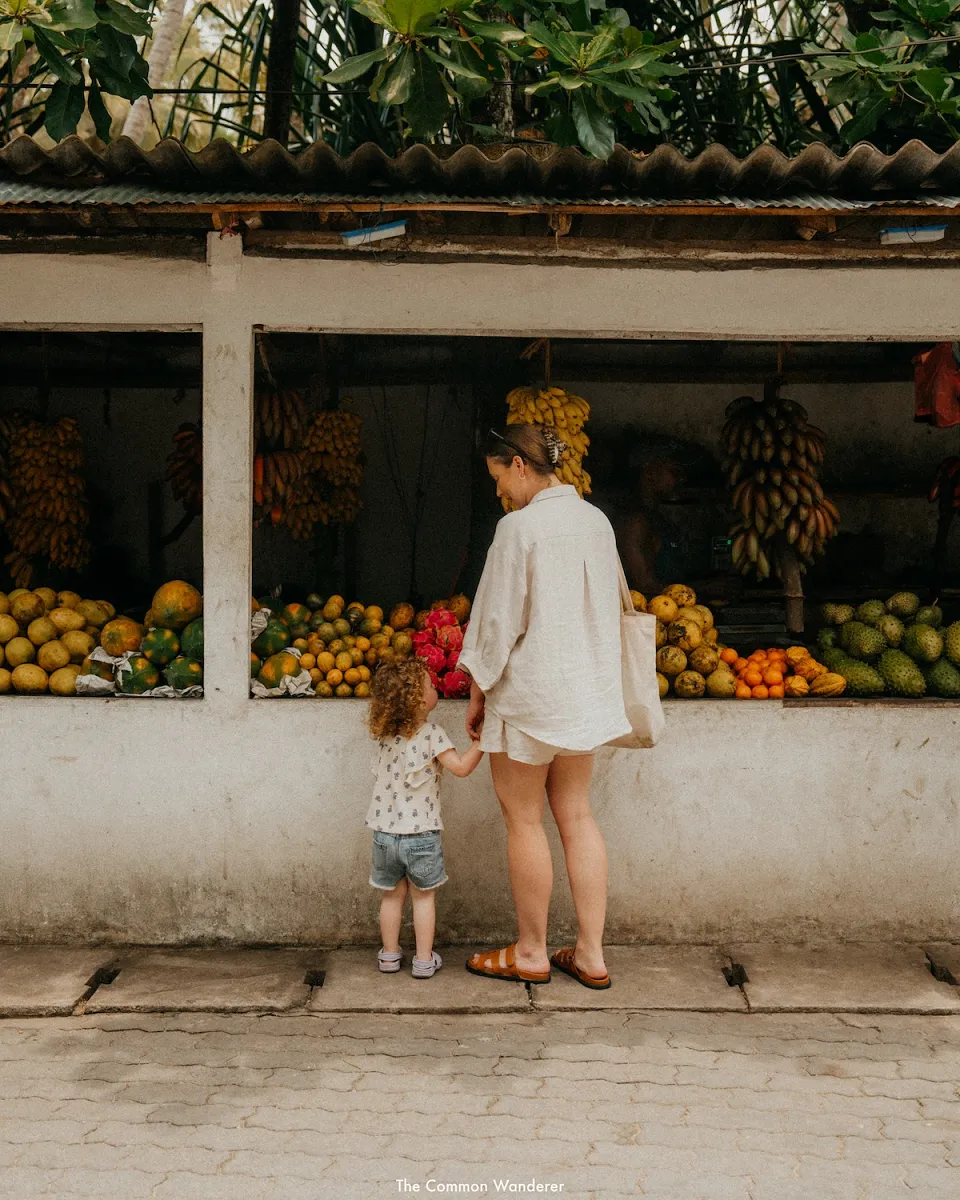 Sri Lanka with Little Ones — Sri Lanka Common Wanderer Red Dot