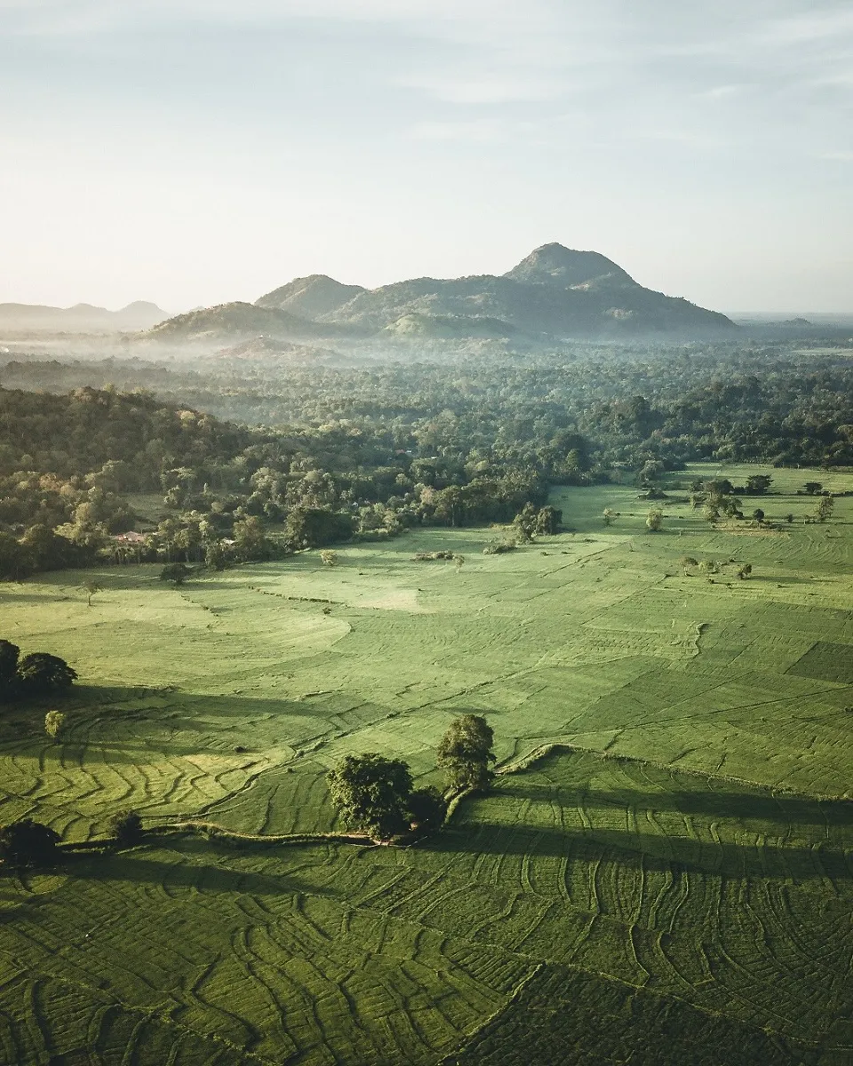 Simply Sri Lanka — Day View 7