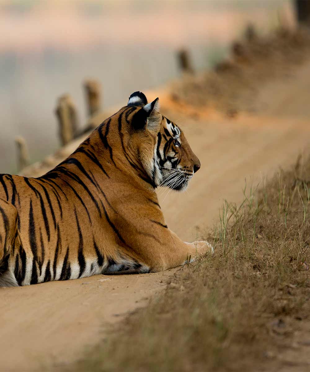 Luxury hotel gallery image