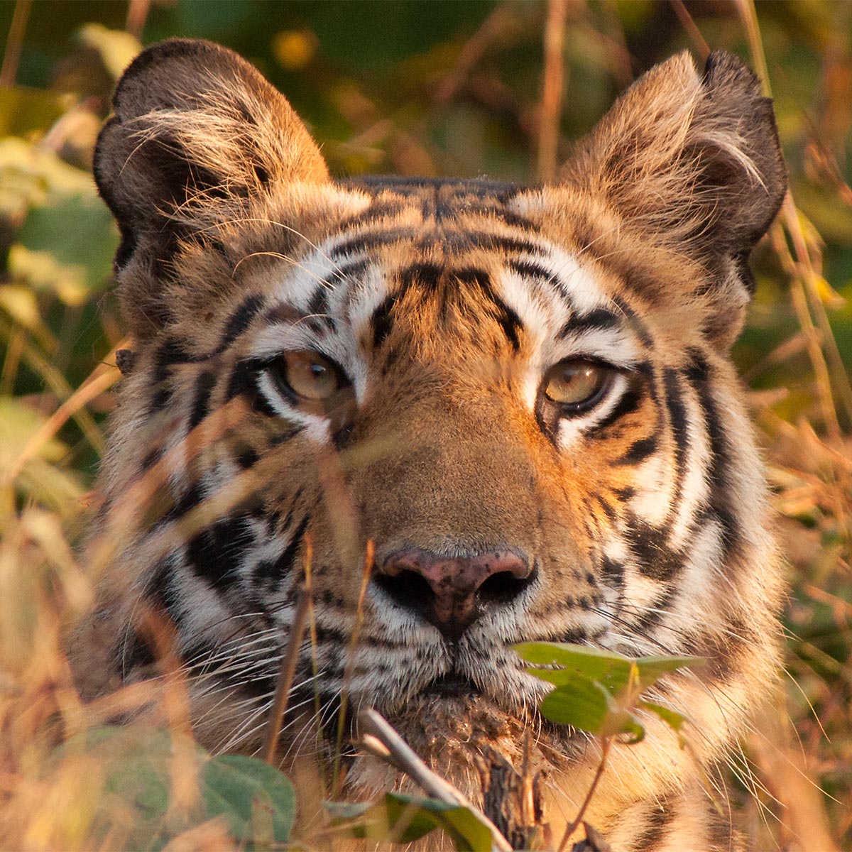 Luxury hotel gallery image