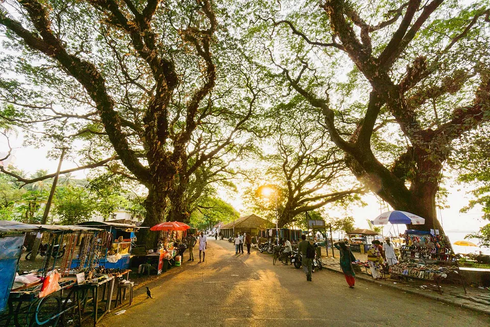 Cultural Cochin on Classic Kerala