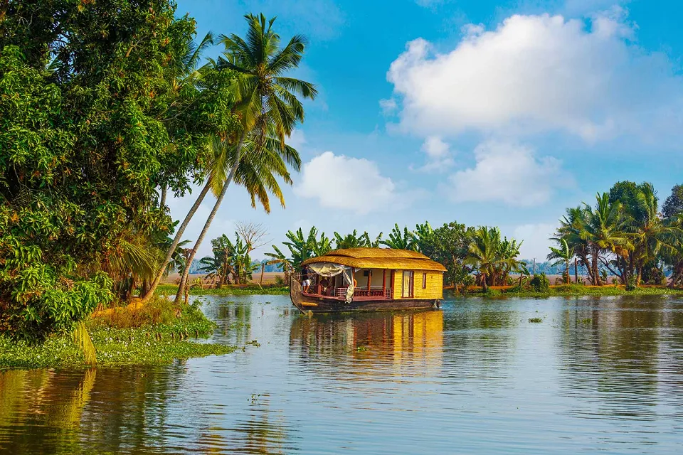 Wild boar and backwaters on Classic Kerala