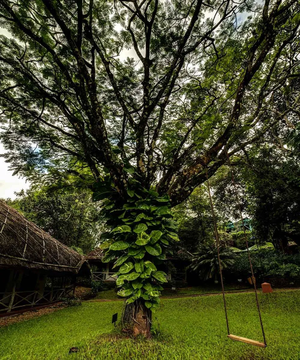 What we love — gallery photograph 2