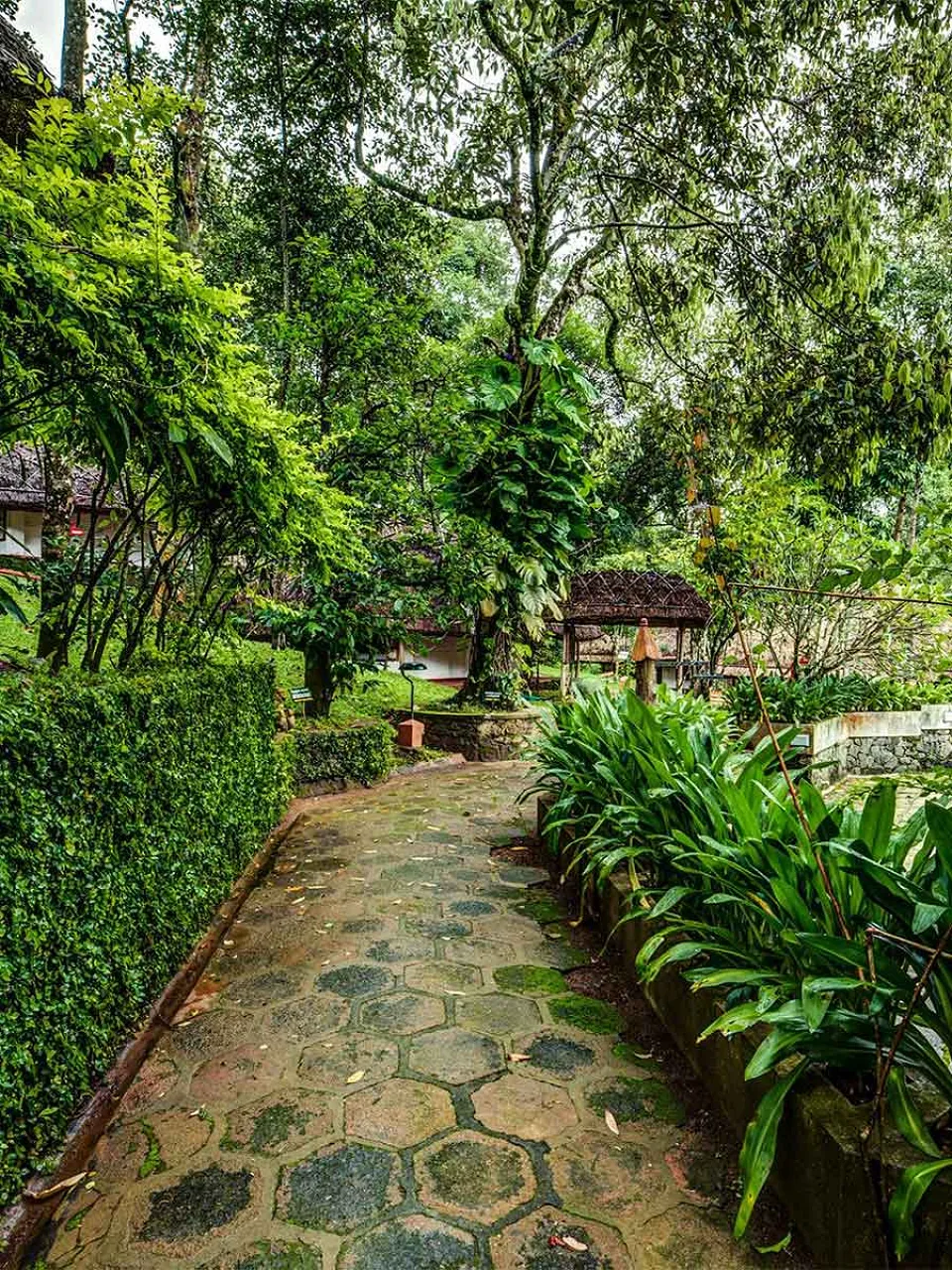 Luxury hotel gallery image