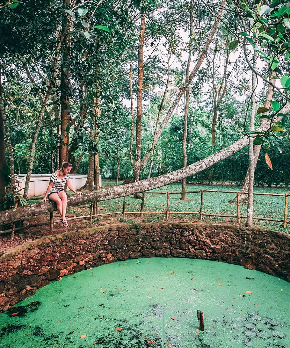 What we love — gallery photograph 3