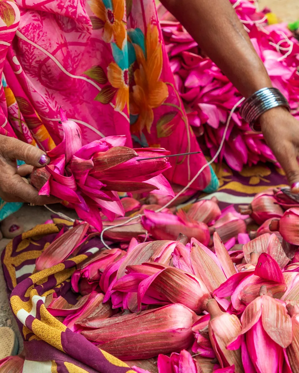 Northern India with Varanasi — itinerary photograph