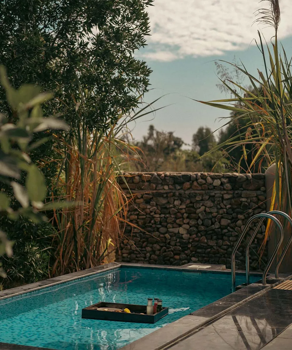 What we love — gallery photograph
