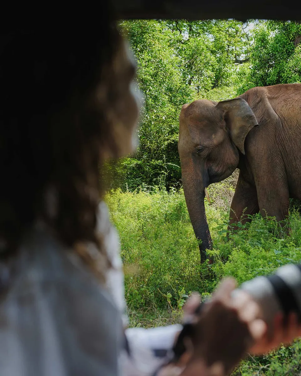 Sri Lanka for Families — itinerary photograph
