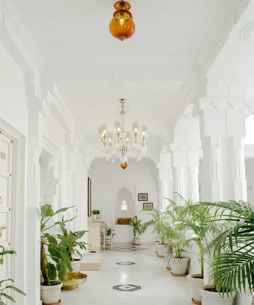What we love — gallery photograph 4