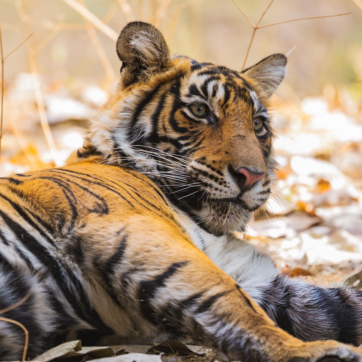 Luxury hotel gallery image