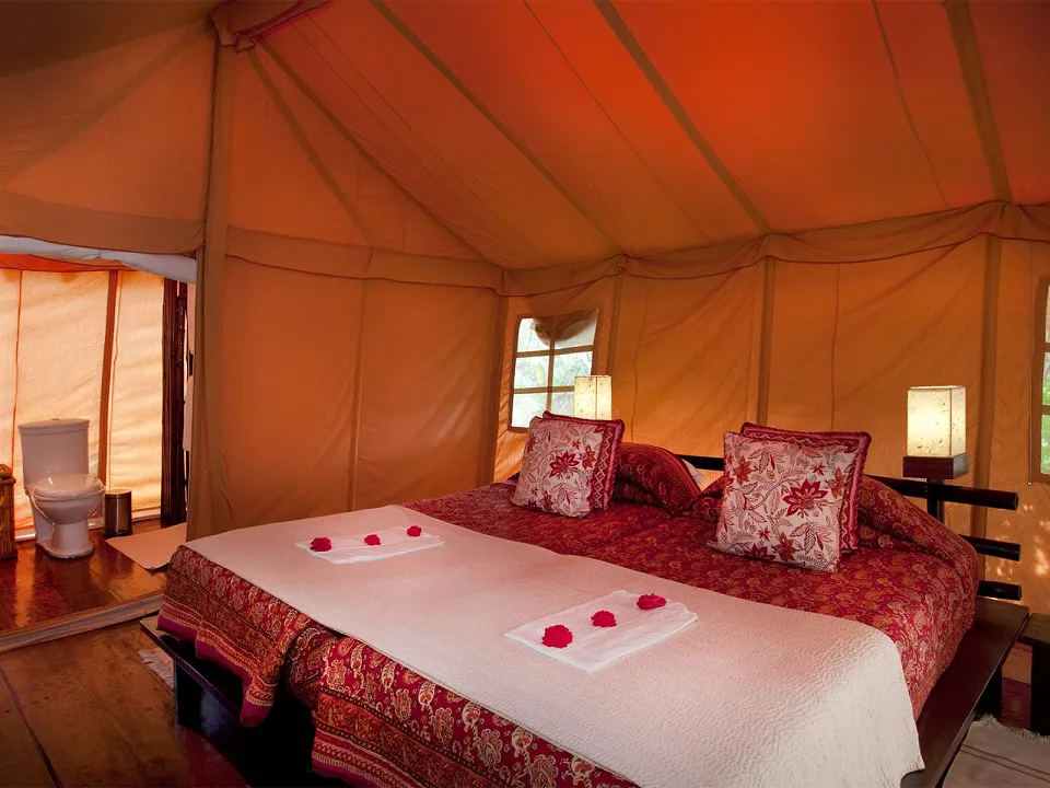 Luxury hotel gallery image — gallery photograph 4
