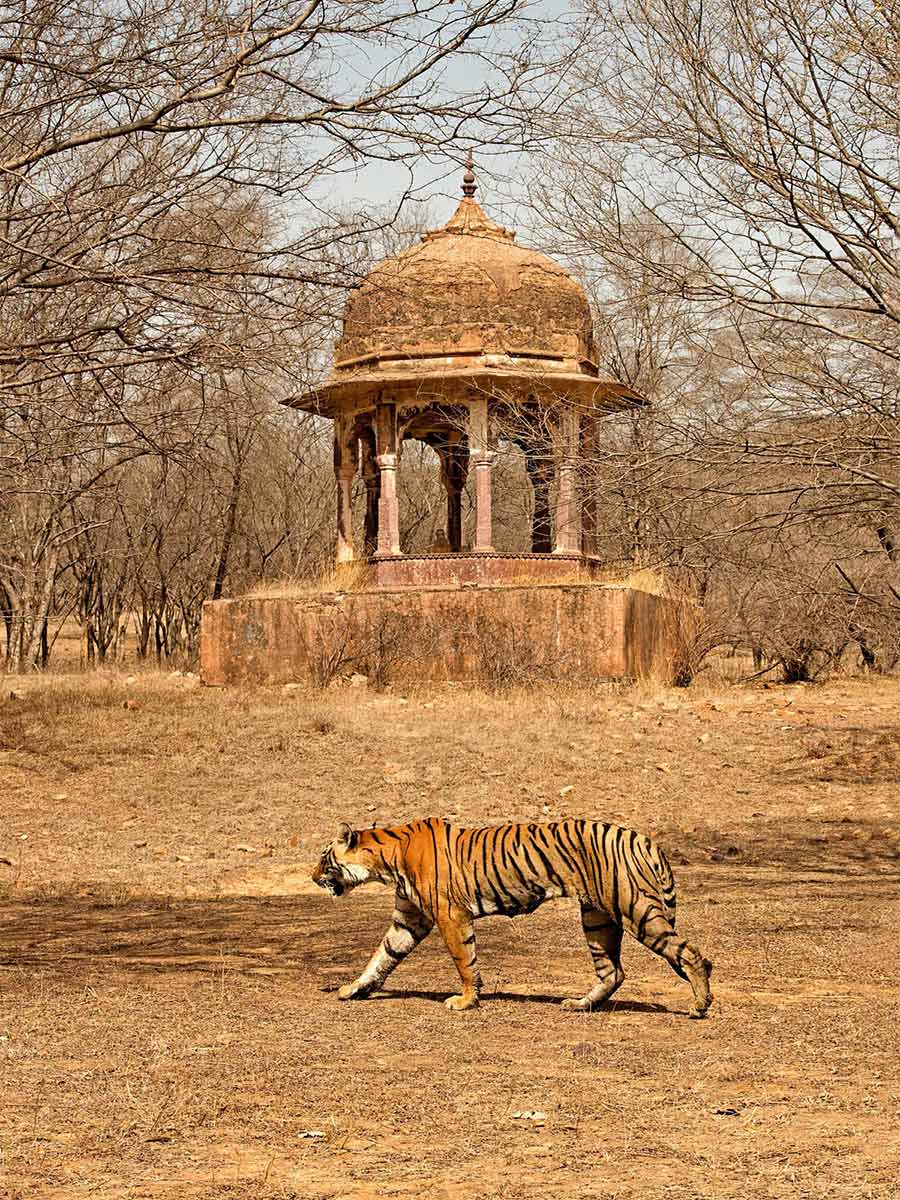 Luxury hotel gallery image