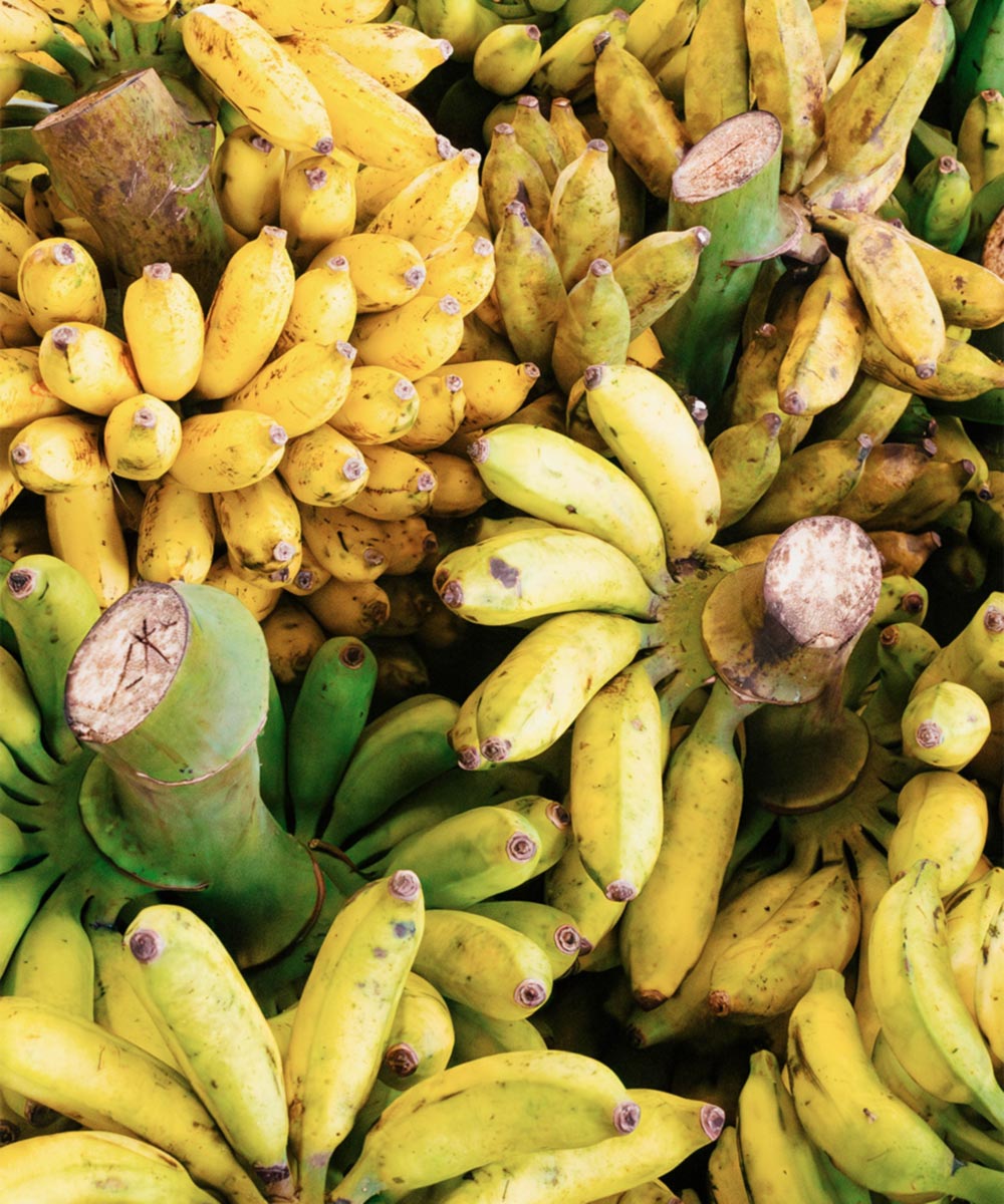 Exciting experience for travelers and explorers gallery image