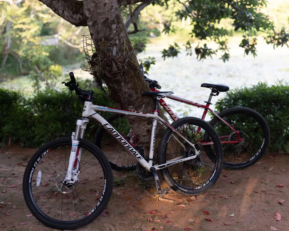 Cycling and Kayaking Weligama - Memorable travel experience photo — gallery photograph 4
