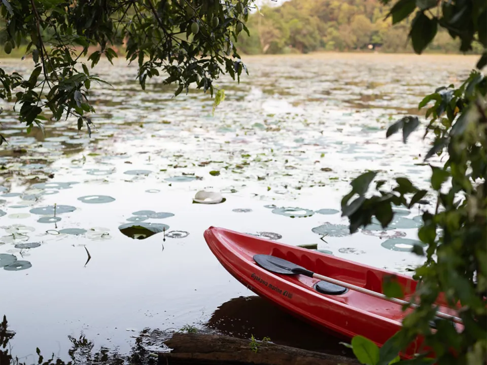 While the Galle Coast attracts many tourists, the countryside just inland offers a tranquil escape that showcases authentic rural…