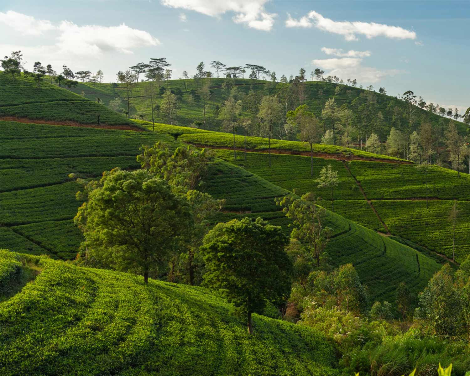 Exciting experience for travelers and explorers gallery image