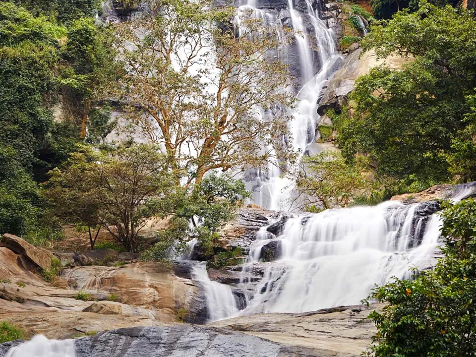 What our travellers say — gallery photograph