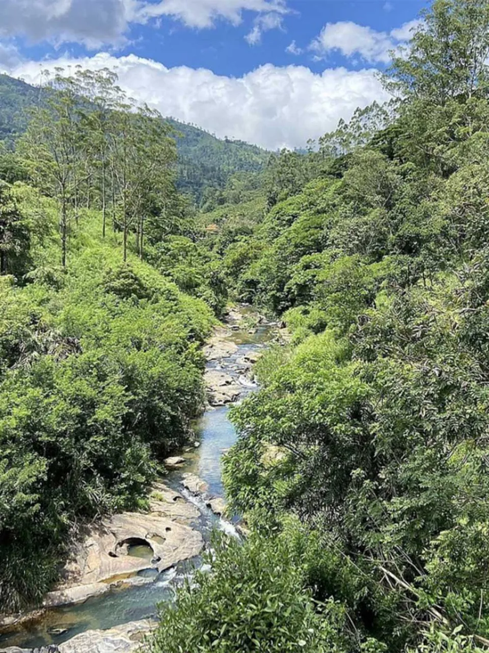 Ella Stage 17 Pekoe Trail — gallery photograph