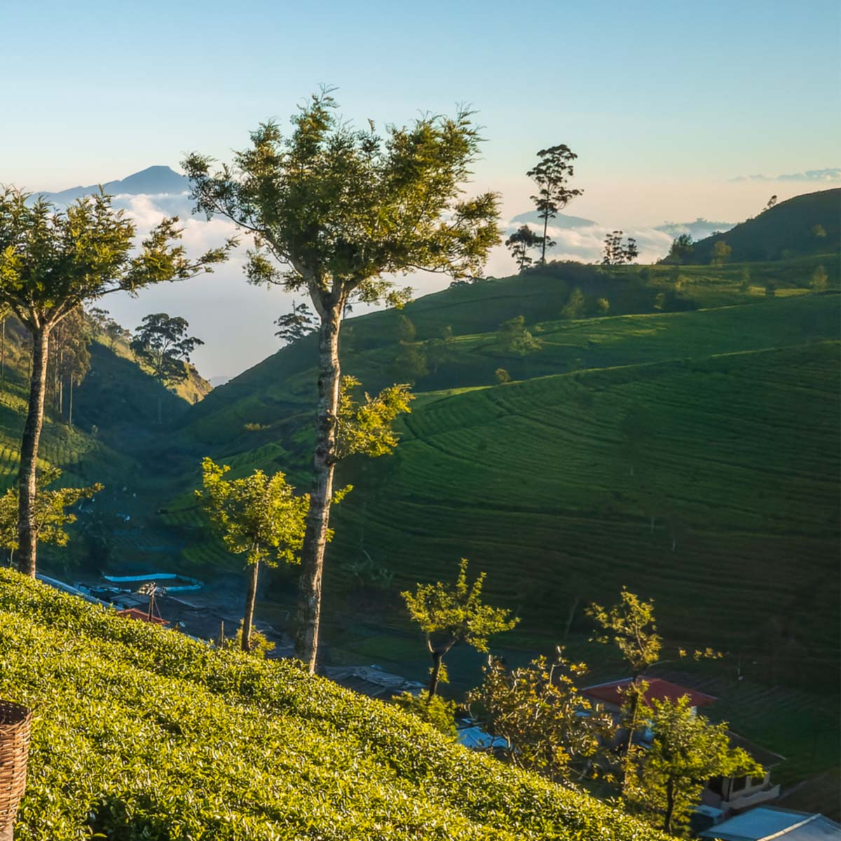 Exciting experience for travelers and explorers gallery image