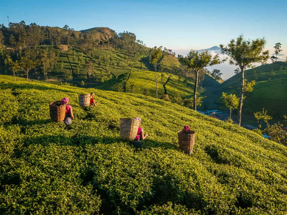 What our travellers say — gallery photograph